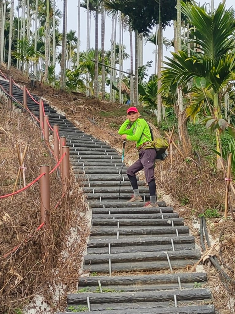 嘉義［阿拔泉山稜線步道］+太平雲梯_2235701