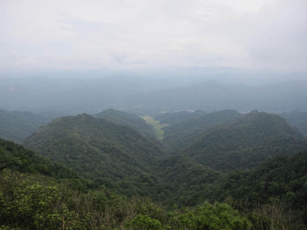汐止姜子寮山_395904