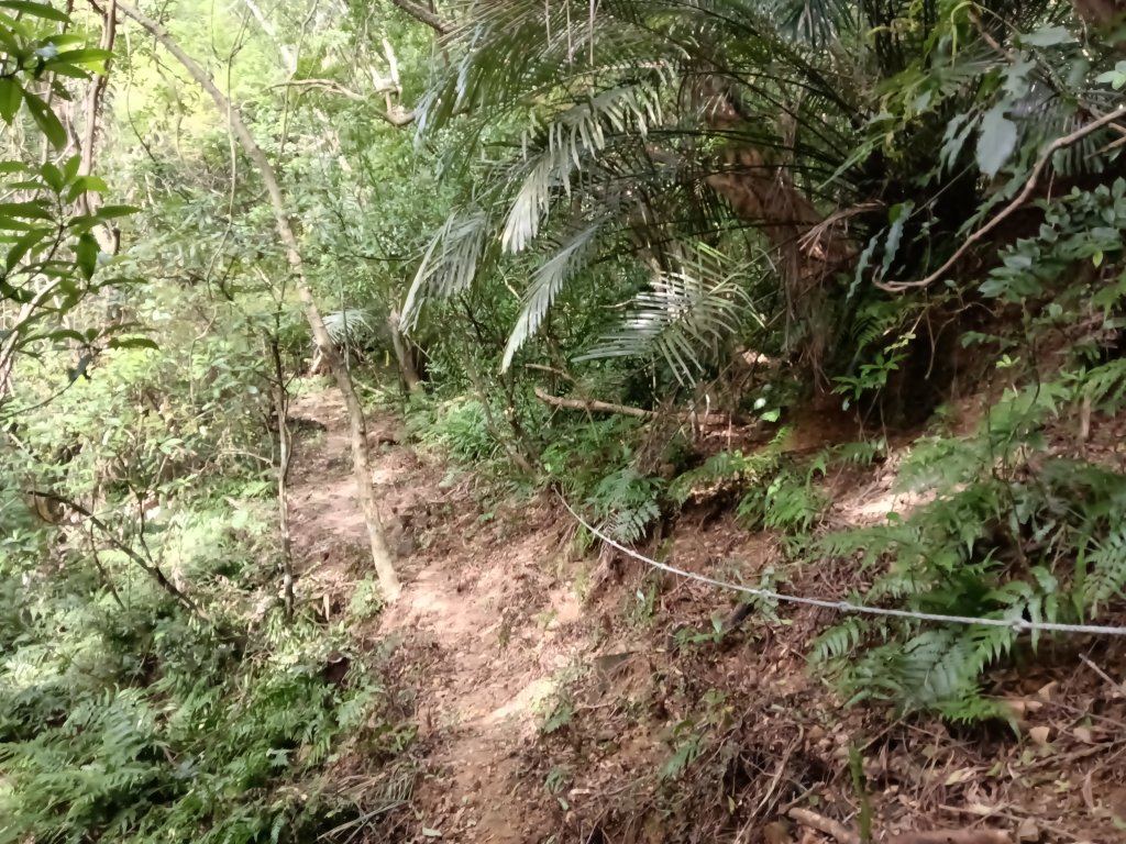 雙溪區大平林山+后番子坑古厝+后番子坑山+武山煤礦事務所+焦炭窯O型_2988586