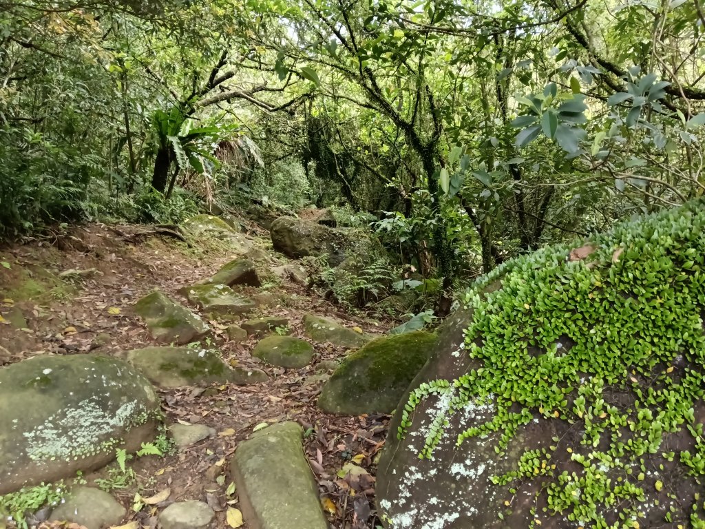 雙溪區三叉港+遠景古道+楊廷理古道+雞母嶺街O型_2758629