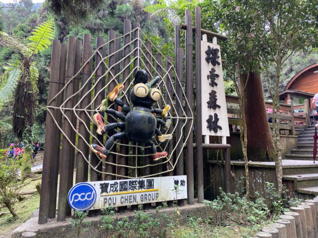 20191109貓仔們之溪頭森林步道探索_757159