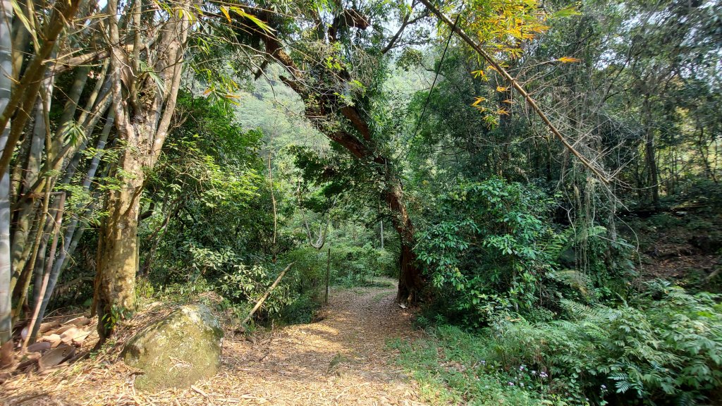 大克山北登山口森林遊樂區起登_1332894