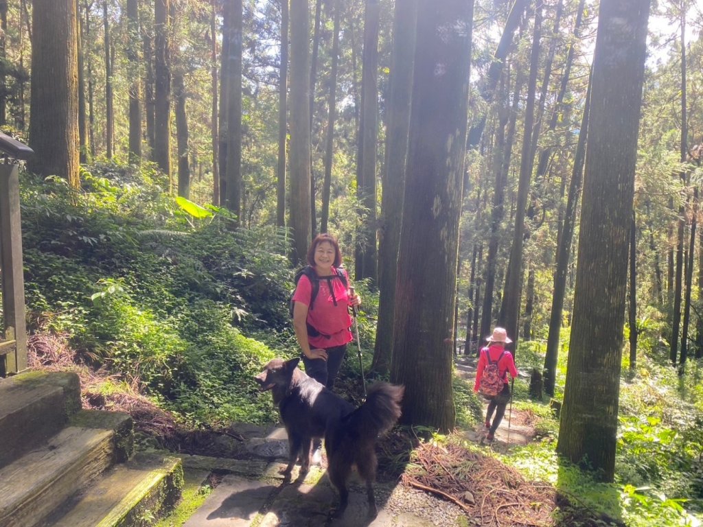 奮起湖環狀步道、麻竹湖步道_2638111