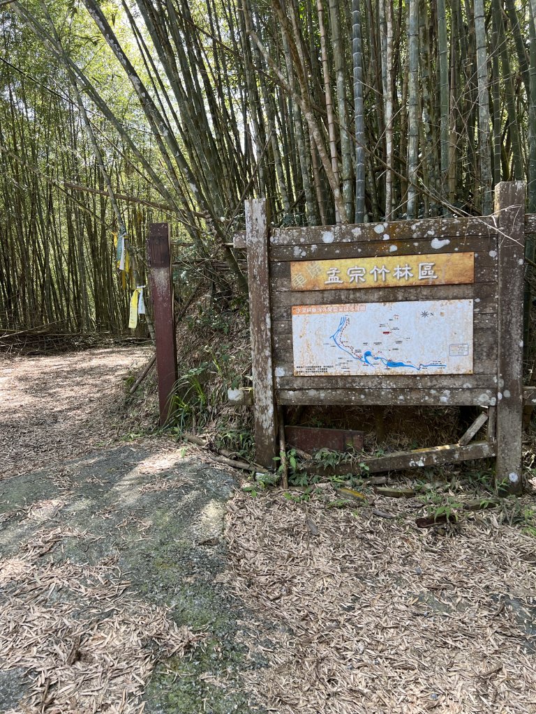 小百岳-集集大山封面圖