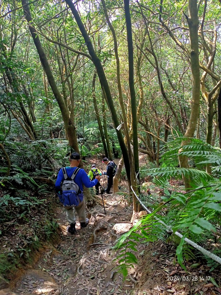 【臺北大縱走4】風櫃嘴→雙溪溝古道→五指山古道→大崙頭山北面步道→許願步道→圓覺寺步道→大溝溪→大湖_2469098