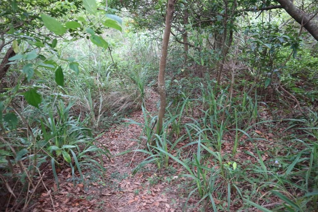 唭哩岸山 奇岩山 東華山。唭哩岸烏尖連峰步道 懸崖峭壁巨石 攀岩愛好的天堂_2175926