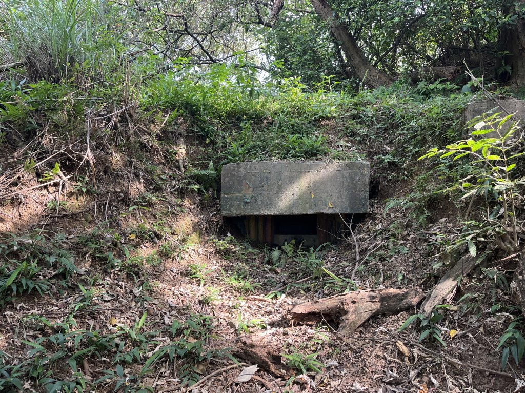 2024_0804 文間山_2566392