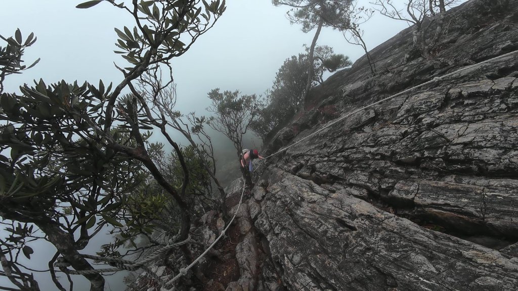 台中 鳶嘴稍來山O繞+稍來神木_2989505