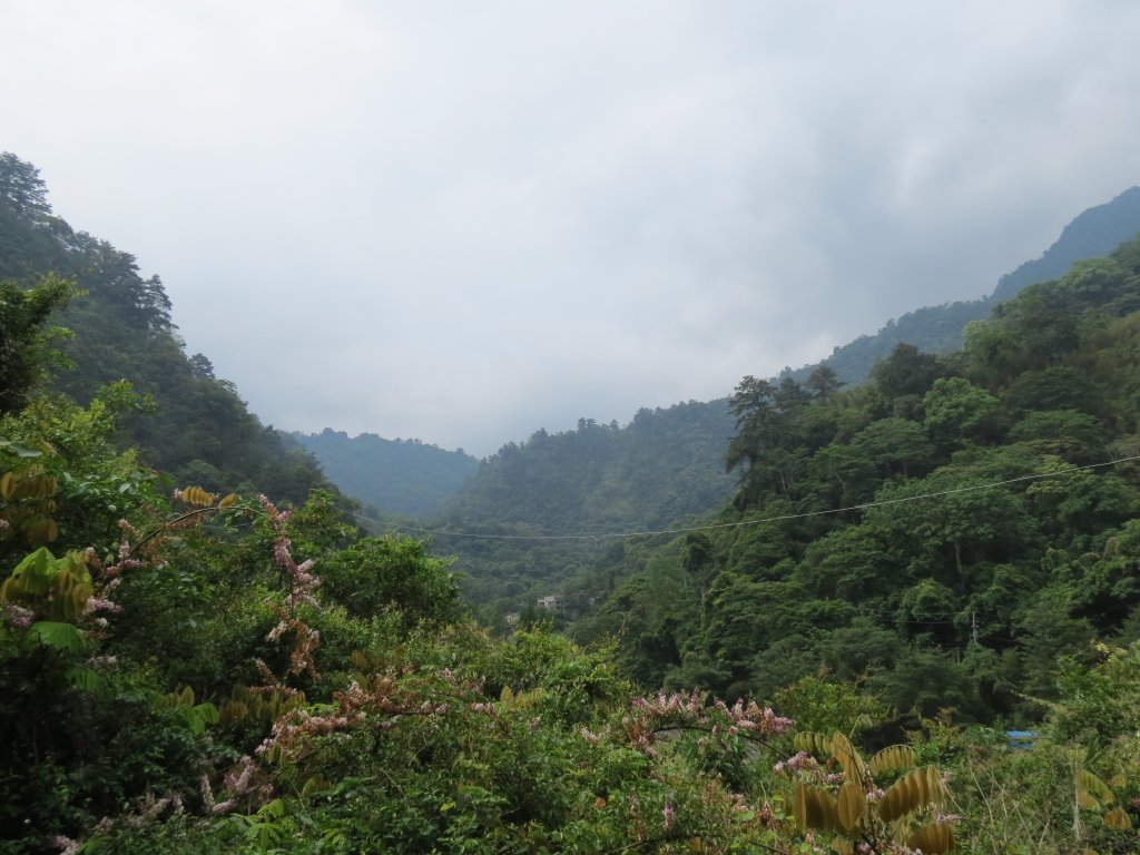 谷關七雄-老么-唐麻丹山_2500917