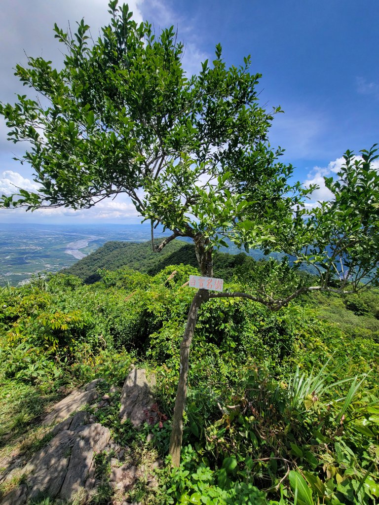 【瑪家五連峰緃走】白賓山緃走笠頂山_1746079
