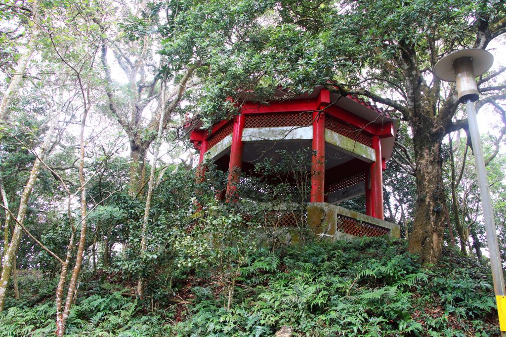 南庄 景點多 ~ 走吧 ! 登山健行休閒旅遊 ..._223486