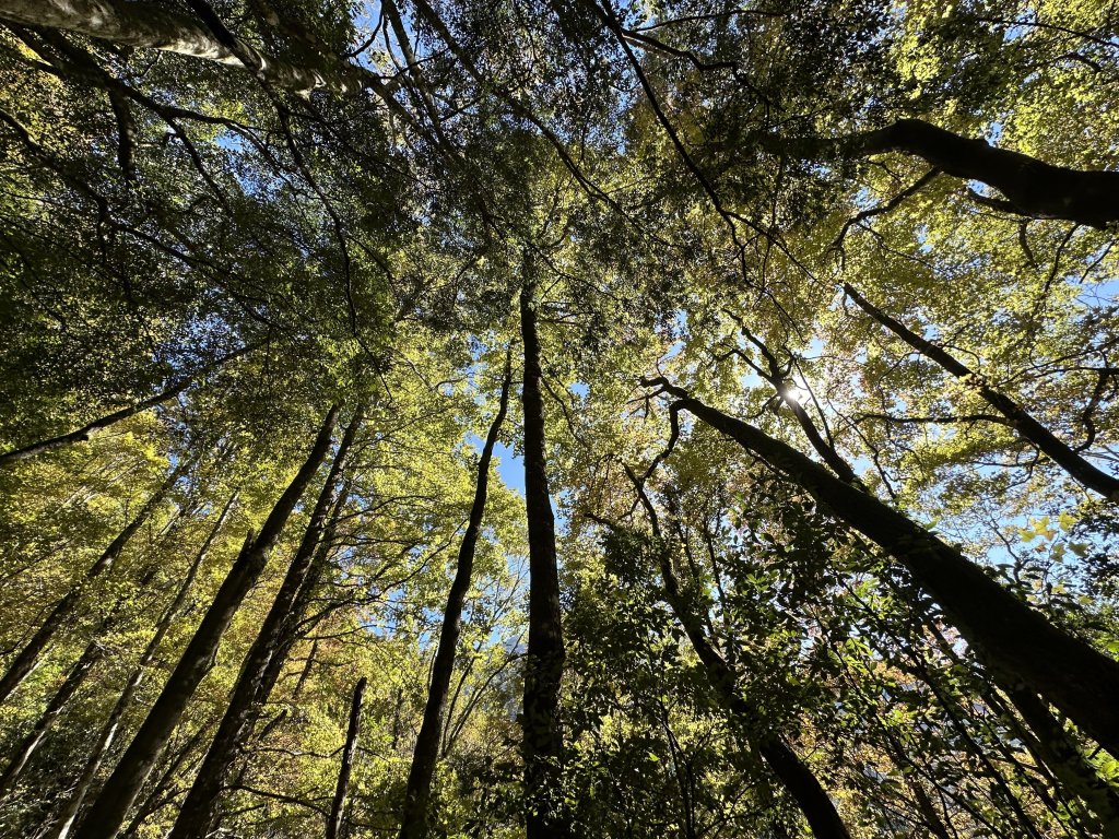 霞喀羅古道_2400248