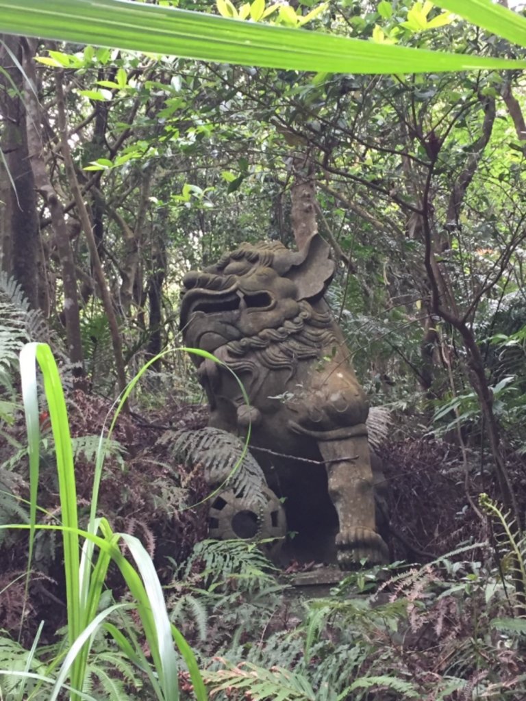 臺北大縱走第四段_946818