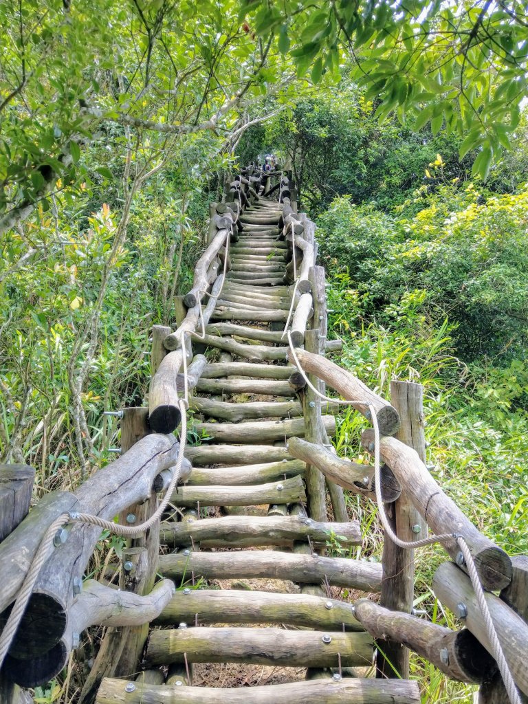 頭嵙山(小百岳#41)大坑4,5,1步道_1003685