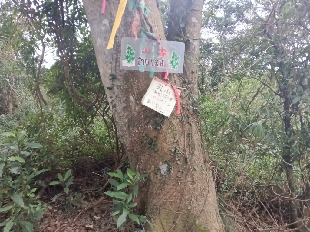 寶山鄉寶山水庫(寶山東峰+中峰+中西峰+西峰+西北峰)+尖山O型_3012502