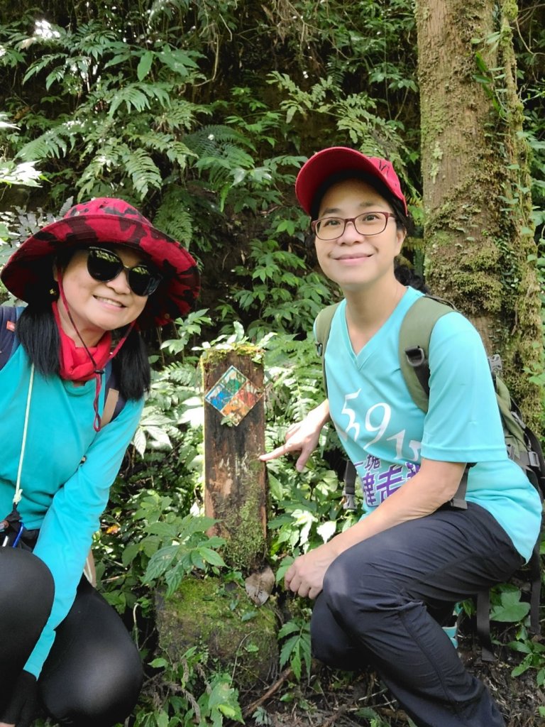 桶後越嶺古道怎麼那麼優秀_1072988