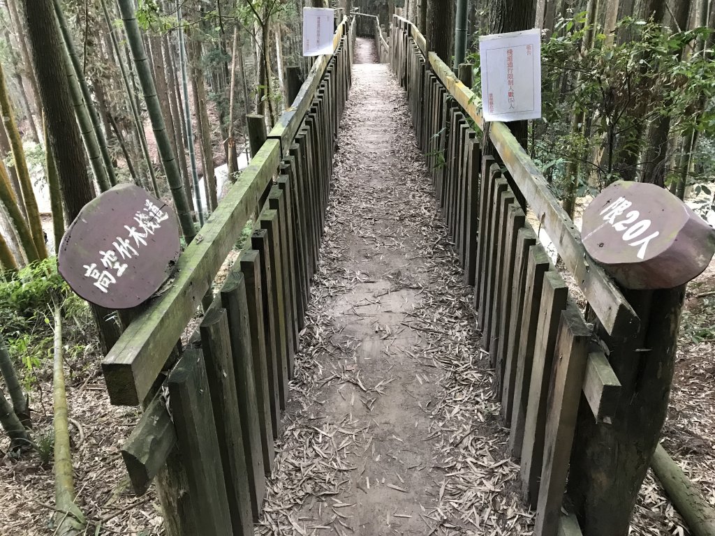 110年4月25日雲林  雲嶺之丘 五元二角 木馬古道_1456523