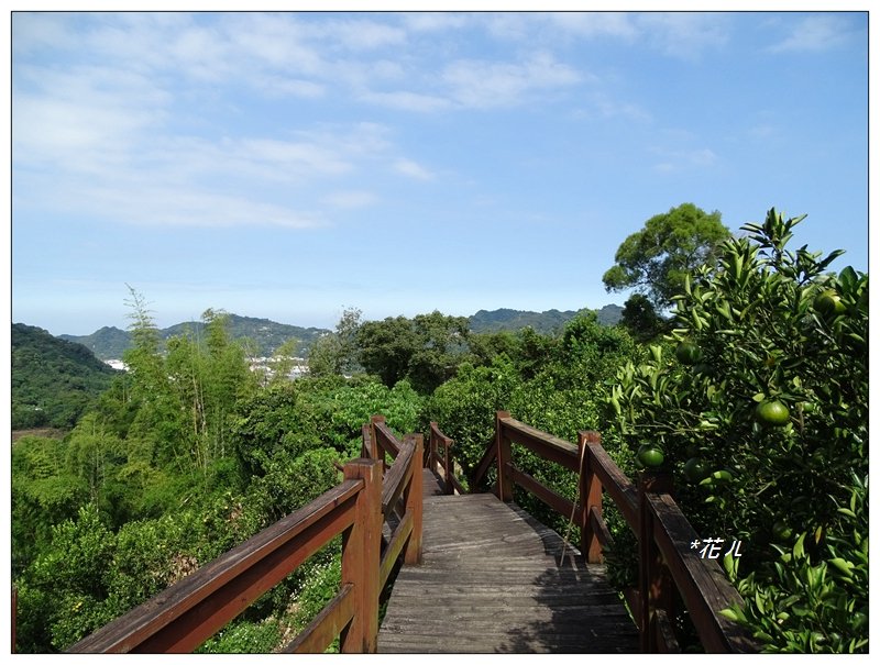 石岡/挑物古道封面圖