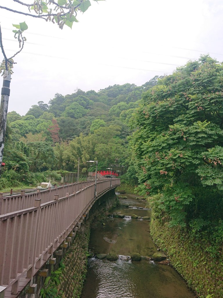 火焰山之桐花大爆發_2483337