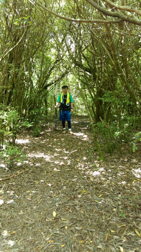 20150621新竹尖石鄉李棟山_27892