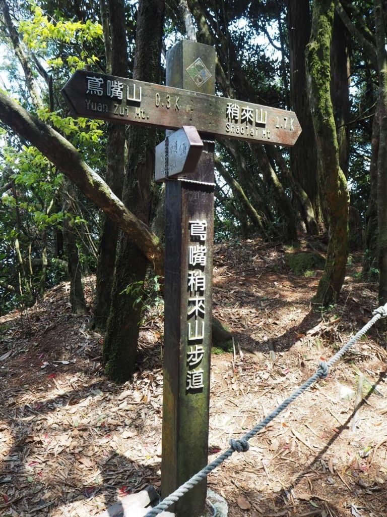 台中鳶嘴山20180406_304874