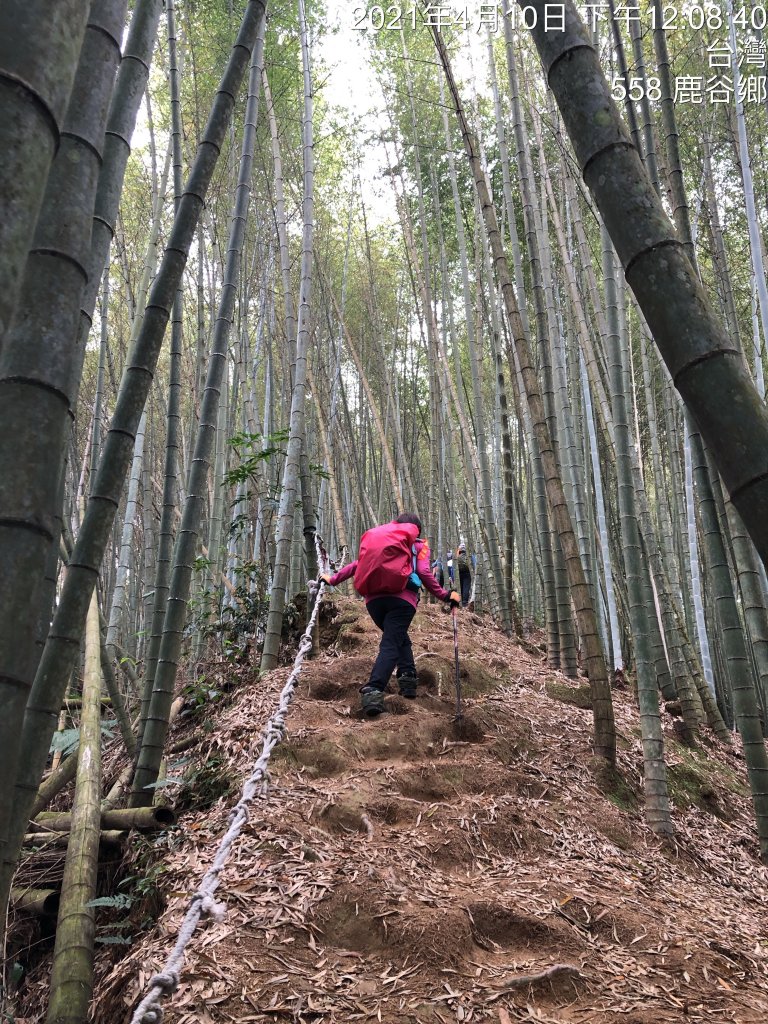 杉林溪 十二生肖連峰縱走_1348798