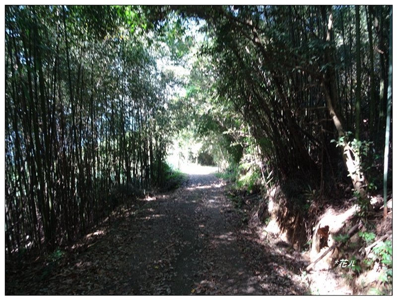 馬那邦山(小百岳)/上湖登山口_2427083