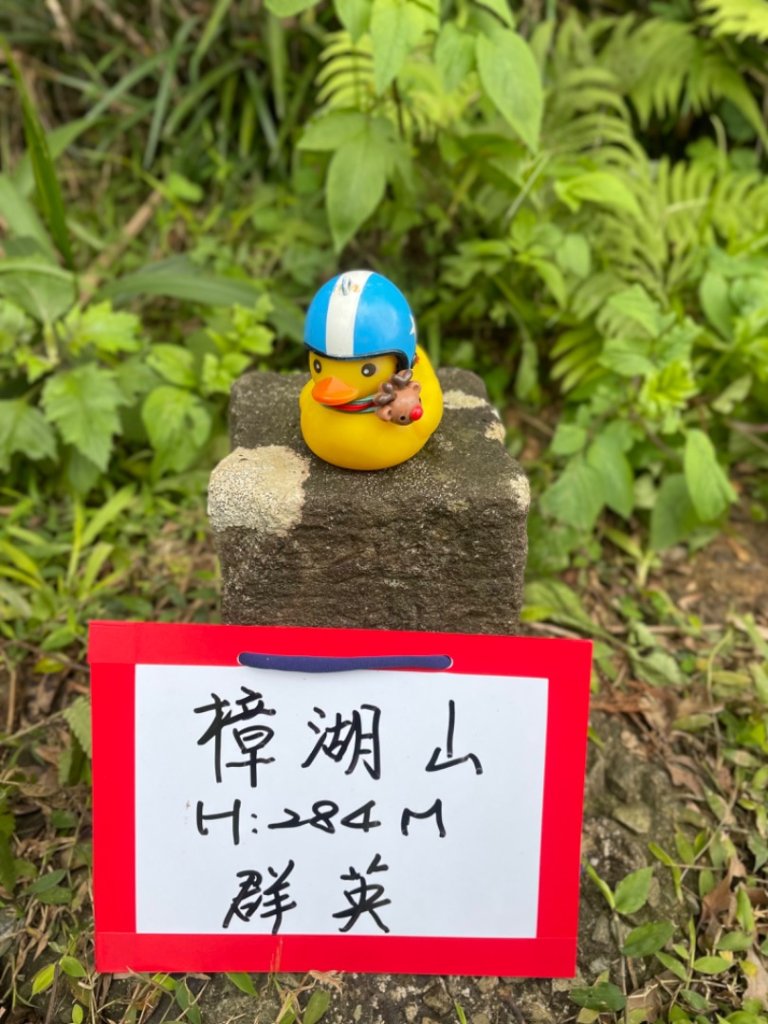青潭越嶺政大-賞梅花🌸安坑🐦嘴四秀_2691675