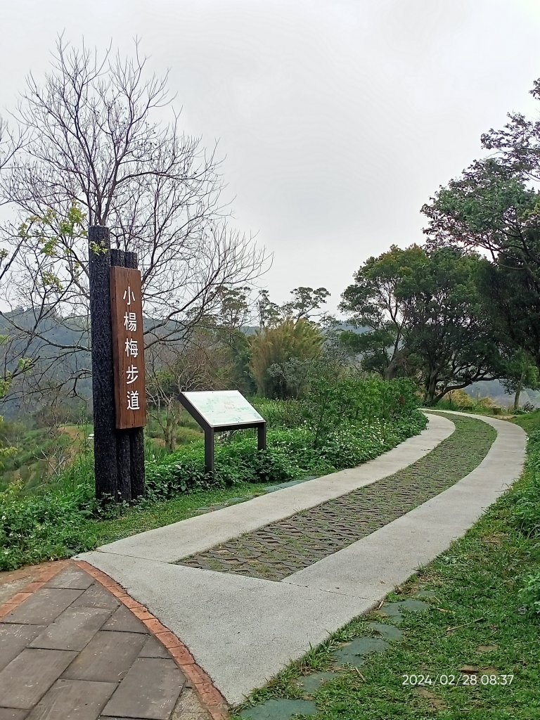 大安森林公園、桃園楊梅秀才登山步道走春趣_2441999