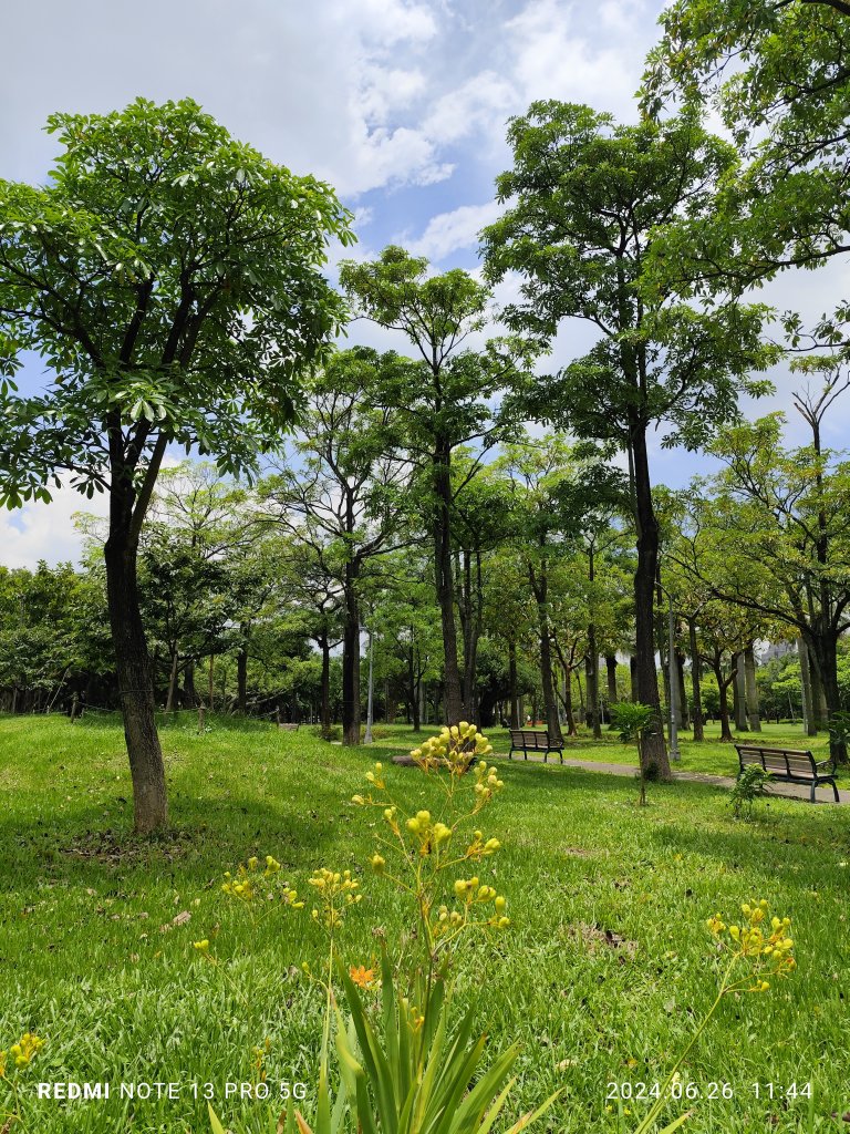 大安森林公園【走路趣尋寶】【臺北健走趣】_2536135