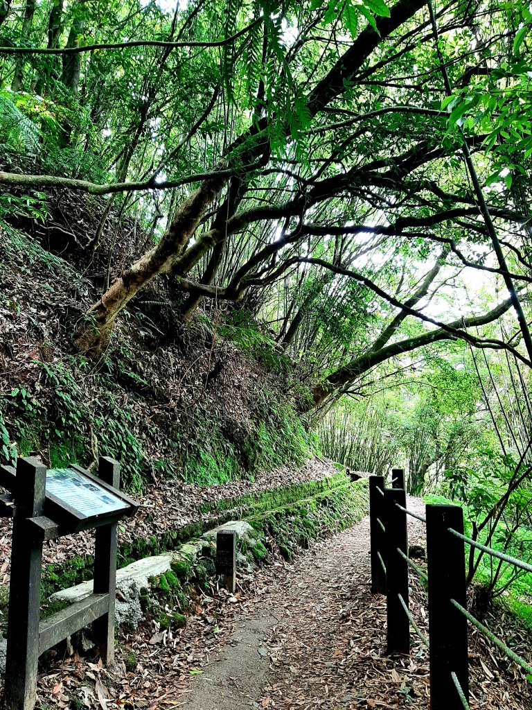 金面山、絹絲瀑布_2532378