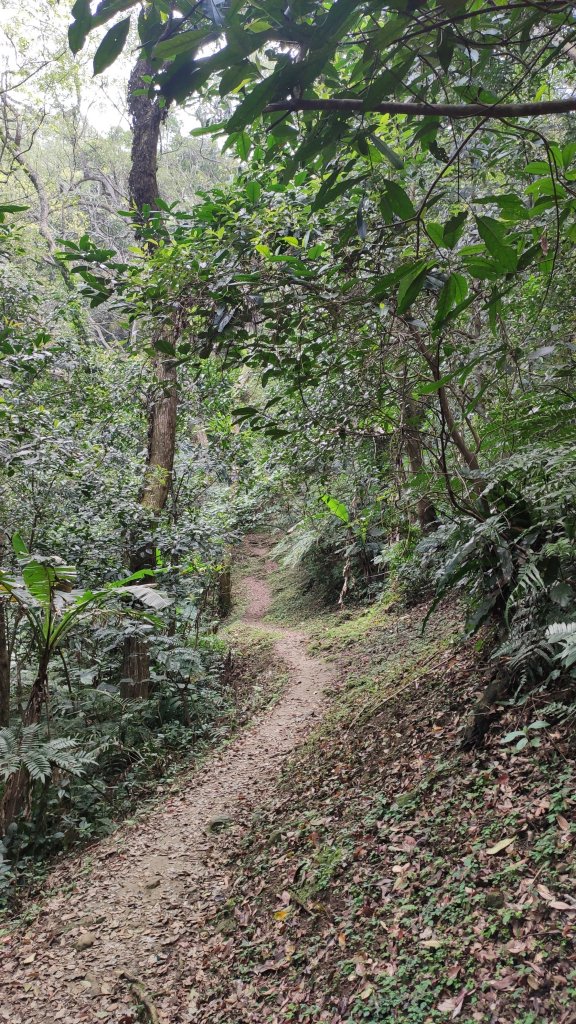 今天去Party(打鐵寮古道)_869994
