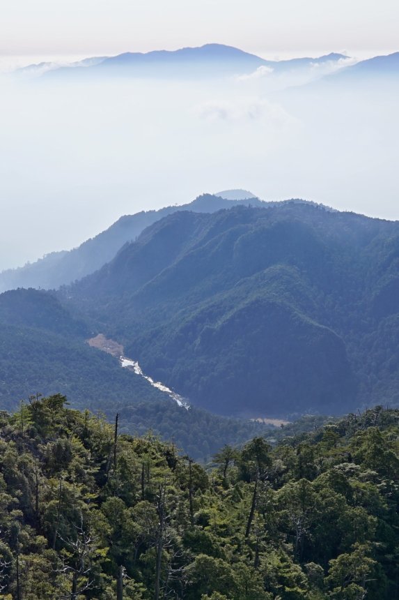 【深海迷霧】【司馬庫斯古道越嶺鴛鴦湖】封面圖