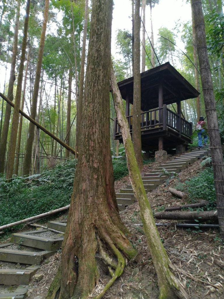 2023-03-04 奮起湖奮起步道_2057725