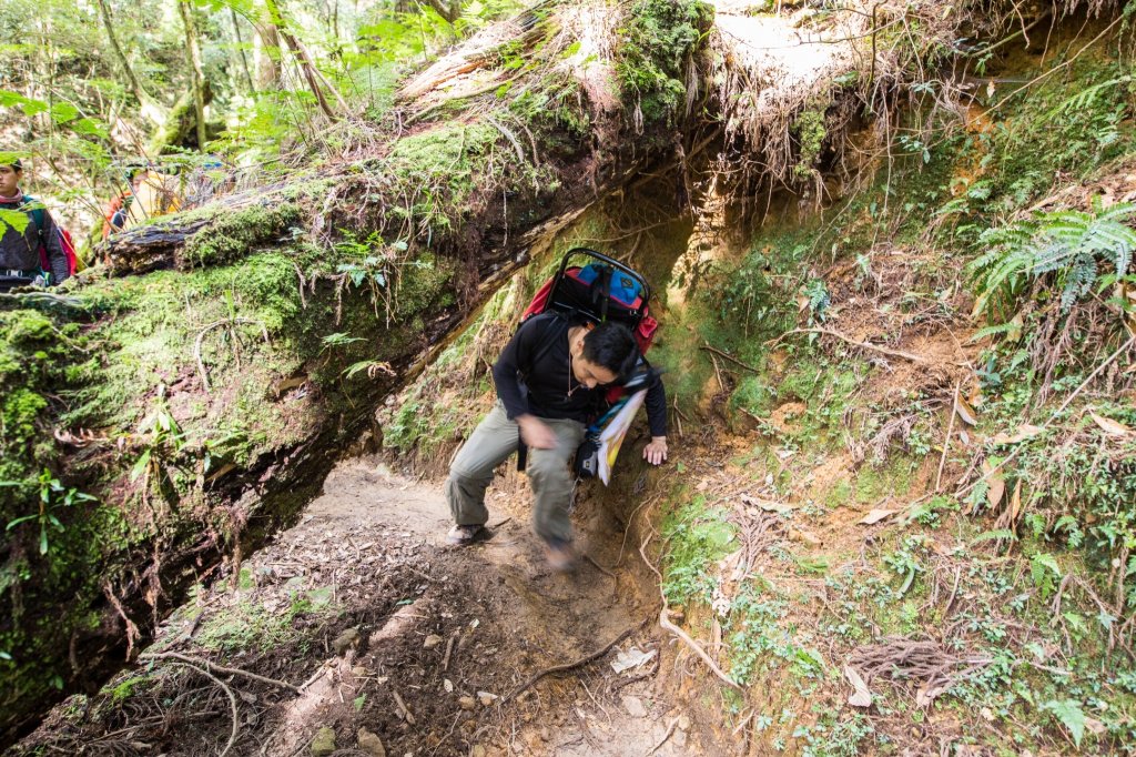 水樣森林 第一次在山裡過夜_659699