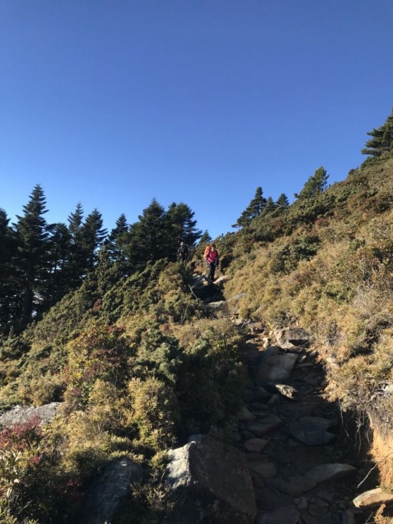 嘉明湖、向陽山、三叉山_335972