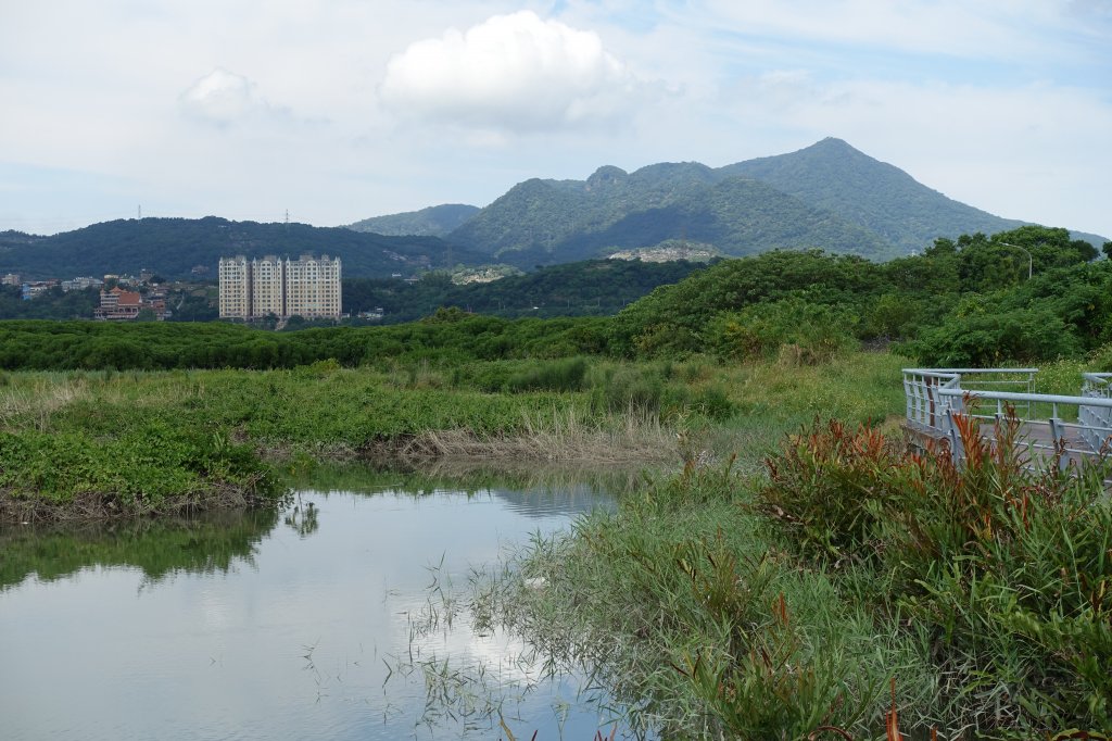 社子島自行車道．島頭公園_1105746