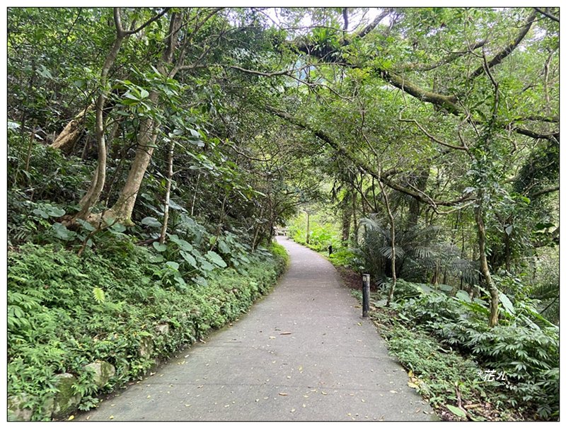 聖母峰、三角崙山 (抹茶山) 連走_2802164