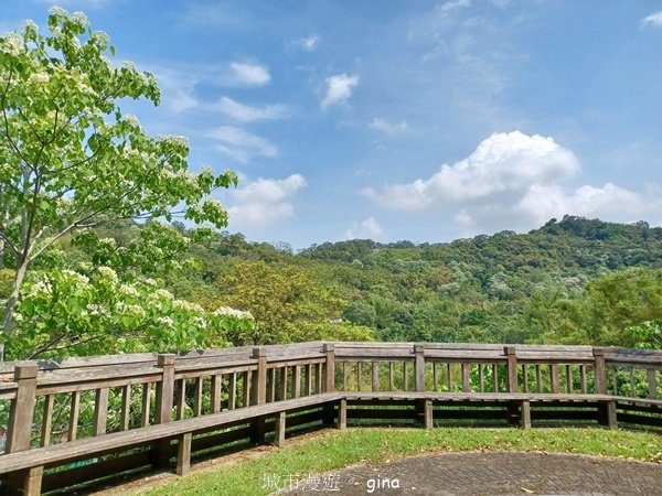 【苗栗造橋】適合親子悠閒踏青。劍潭古道_2533476