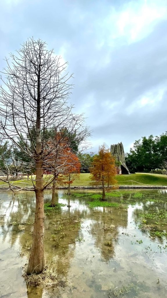 桃園大溪-花彩節🌼李騰芳古厝-月眉落雨松_2934871