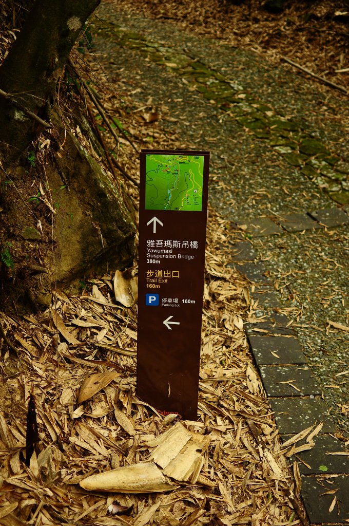 鄒族雅吾瑪斯步道_916870