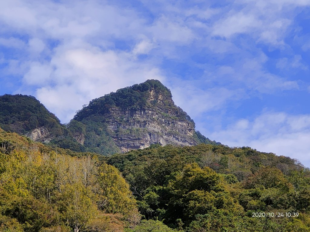 虎山109.10.24封面圖