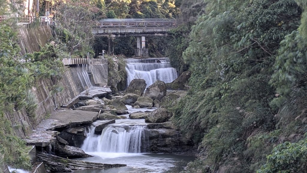 115.01.03山水步道-中庄吊橋-月眉落羽松之旅_2977074
