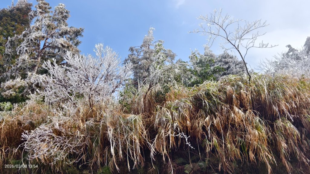 #霧淞 #雲海 #雲瀑 #霧虹 #太平山 #望洋山 #觀雲步道 #翠峰道路  2/8_2995360