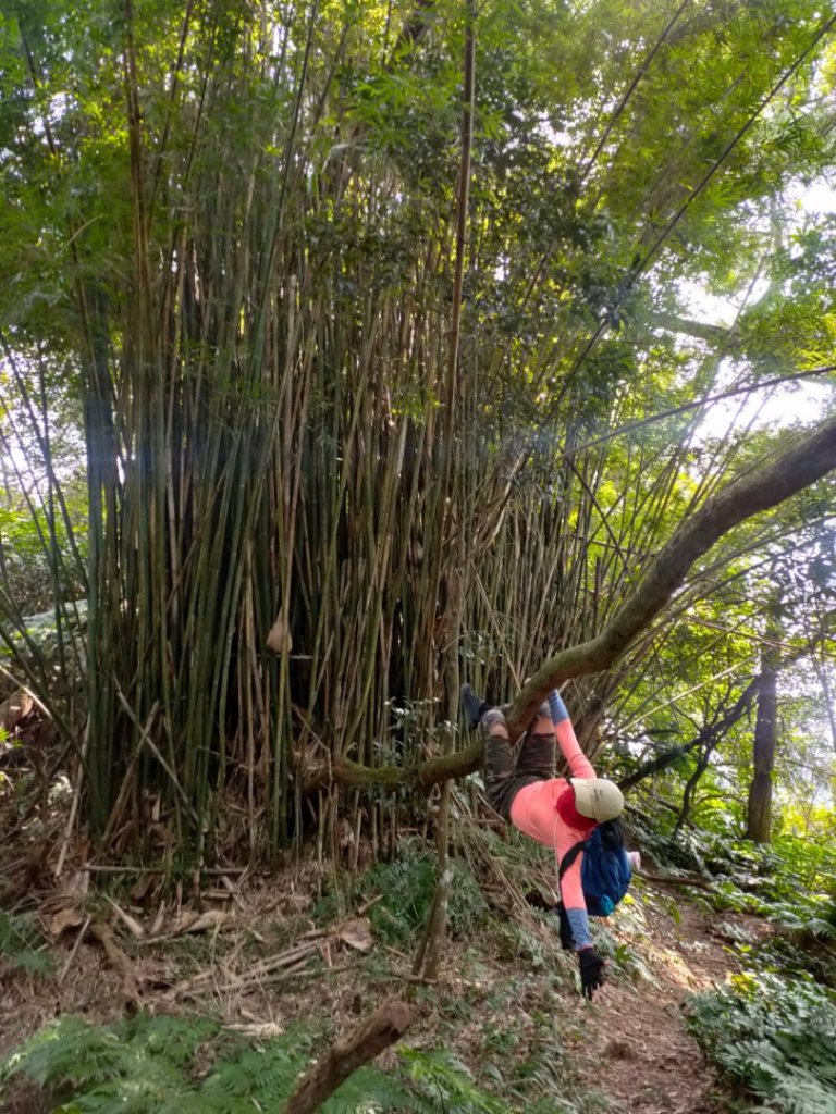 灣潭山和美山O型小走走_1279303