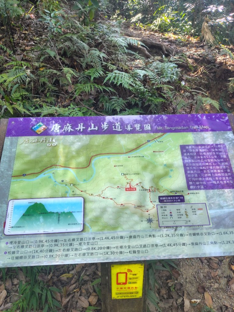 唐麻丹山 蝴蝶谷_2918990