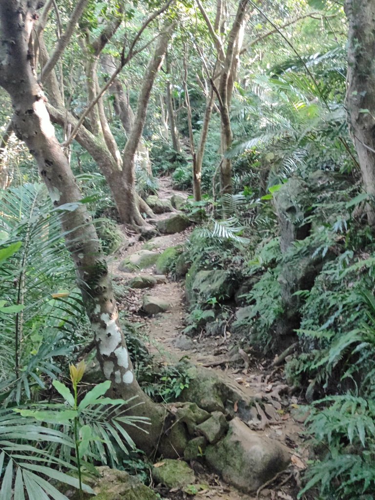 微笑山線：【鳶山山系】鳶山彩壁段_2855465