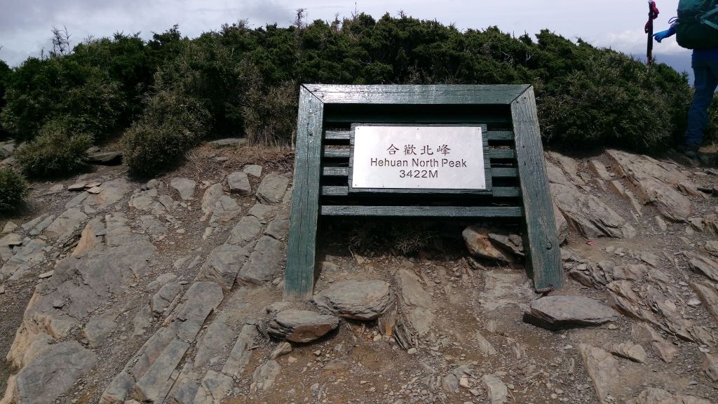 合歡北峰,2017/5/18_137574