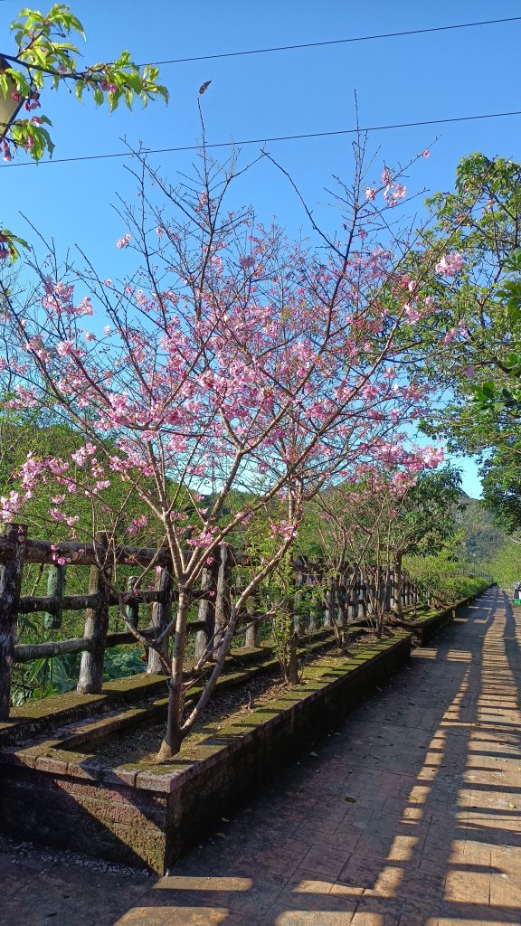 𫙮魚坑步道封面圖