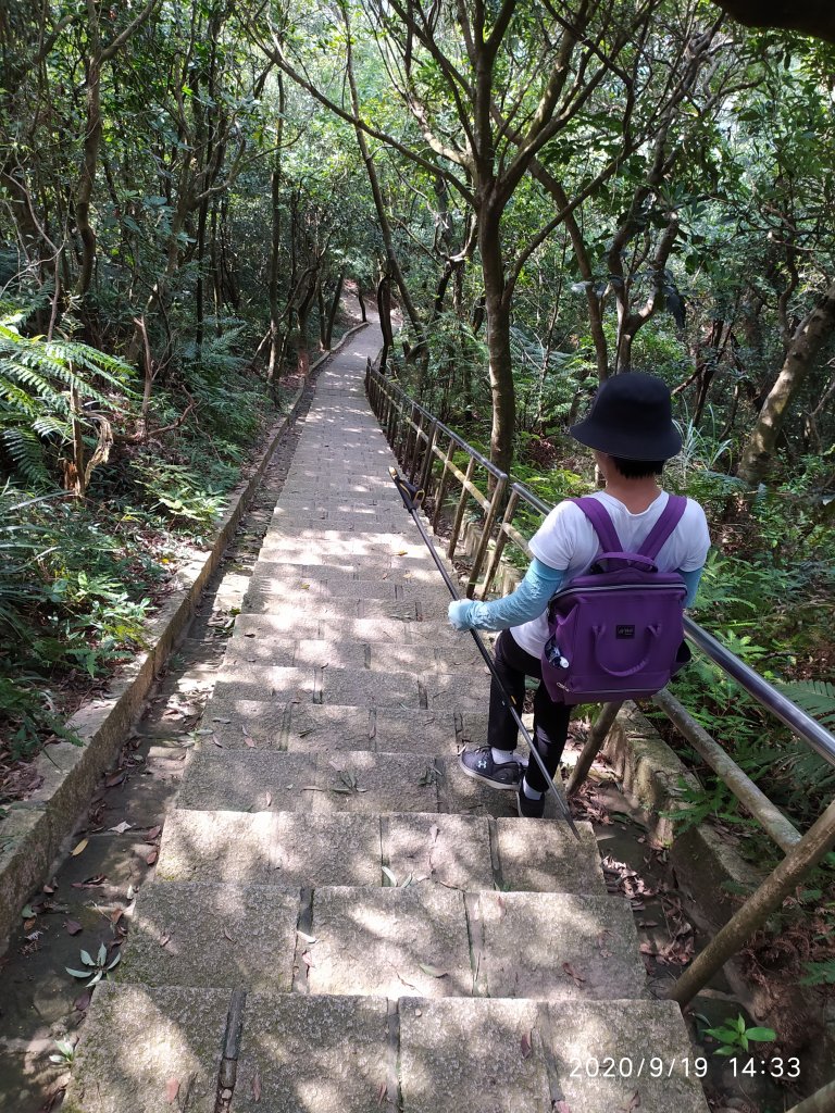 翠山步道+碧溪步道+大崙頭尾山步道環狀線_1105897